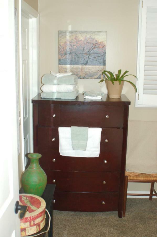 Blue Bear Den 3Br 2Ba Dtc Private Apt Hot Tub Ngoại thất bức ảnh